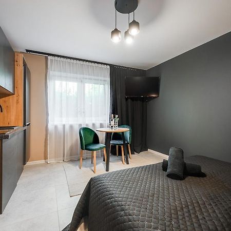 Loft House Apartment Studio Z Ogrodkiem 1 Rybnik  Dış mekan fotoğraf