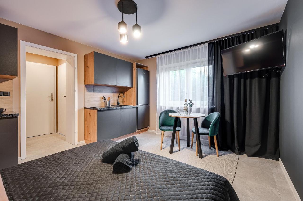 Loft House Apartment Studio Z Ogrodkiem 1 Rybnik  Dış mekan fotoğraf