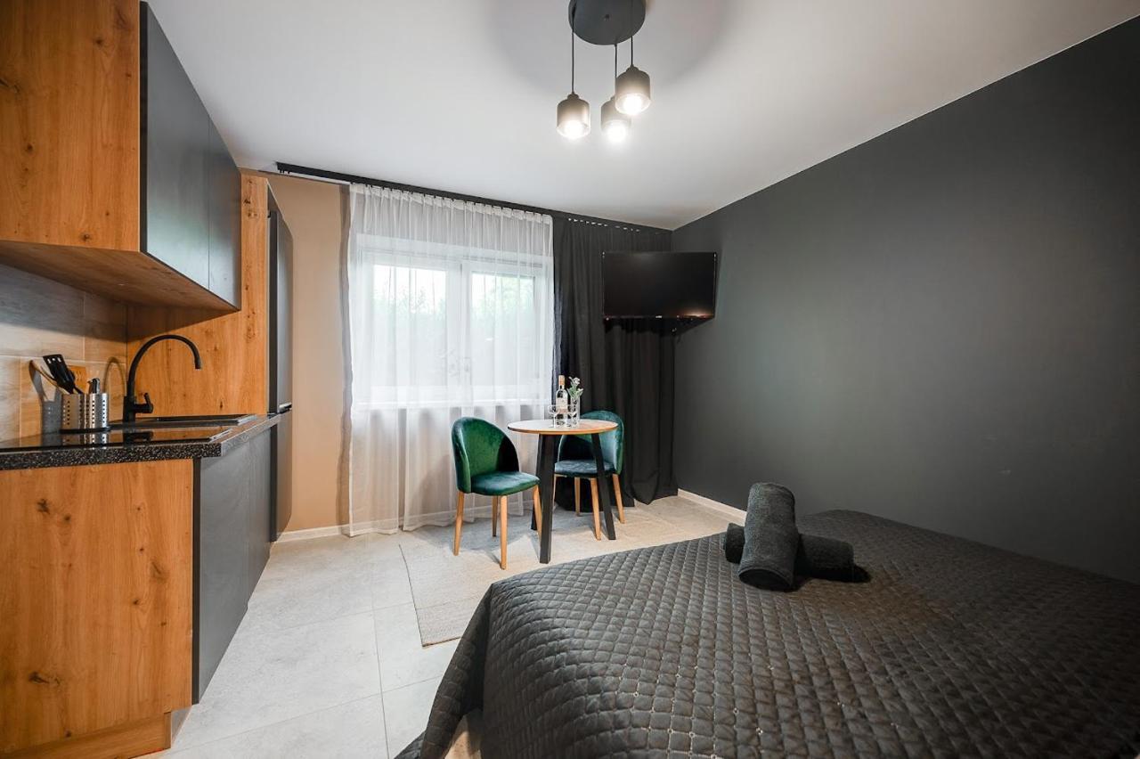 Loft House Apartment Studio Z Ogrodkiem 1 Rybnik  Dış mekan fotoğraf